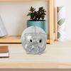 Piggy Bank Money Cute Home Decor Decorative for Kids Transparent Great Gift Collectible