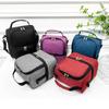 Borsa da picnic portatile a doppio strato Borsa da pranzo con isolamento termico per frigorifero Borse per alimenti Bento Contenitore da campeggio Dispositivo di raffreddamento per bevande