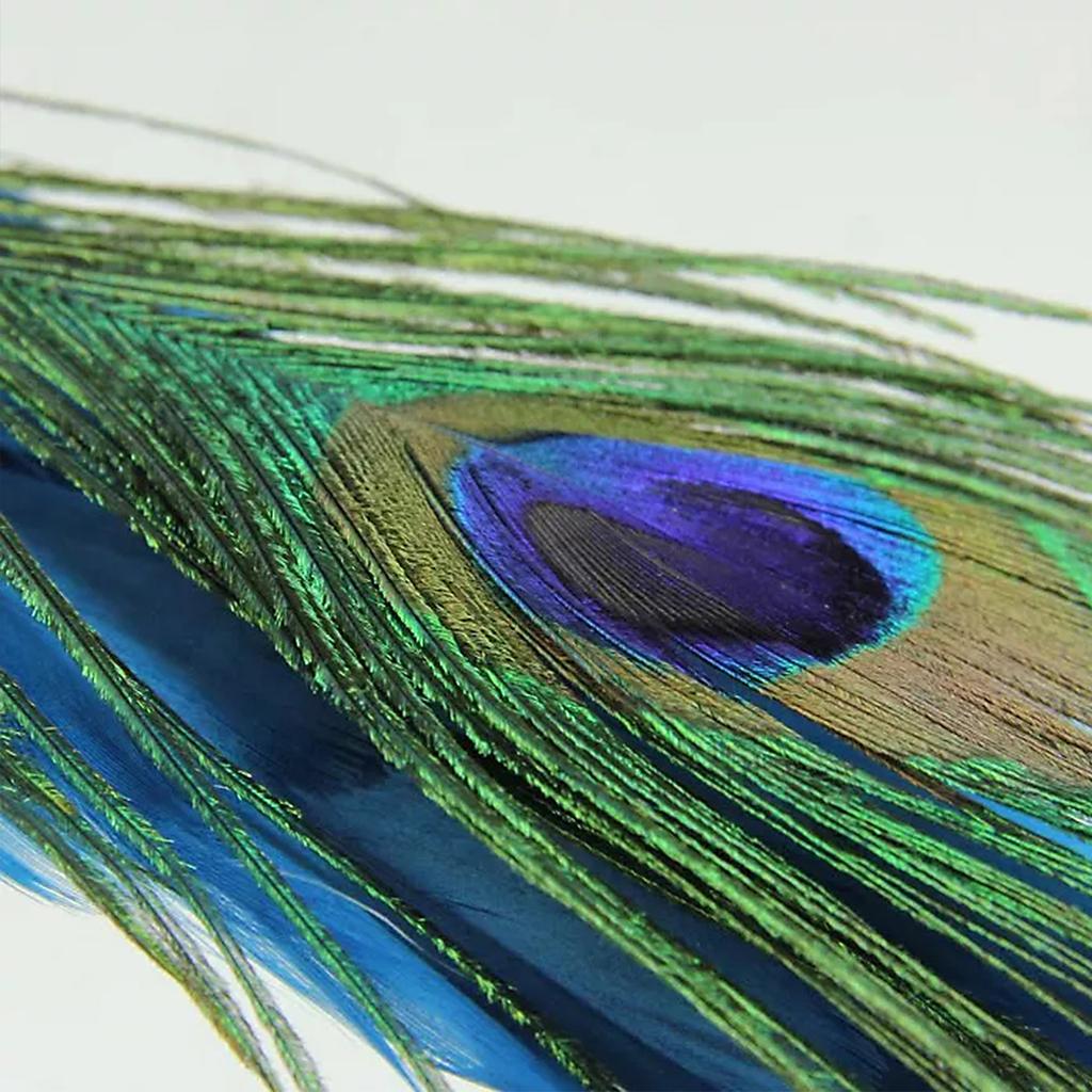 Xmas Peacock Clip Decoration Simulation Long Tail Peacock Xmas Decorations for Home Decor