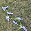 Faux Purple Wisteria Hanging Flowers For Wedding Decor And Event Arrangements Ceiling
