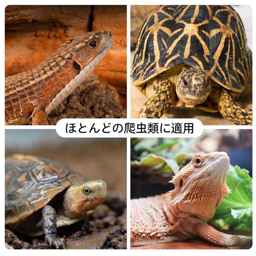 Reptil Lampeholder for Amfibier med Keramisk Infrarød Lampe 360 Graders Justerbar for Reptilbelysning Klemmebryter, Stativ, Rotasjon, Vinkel,