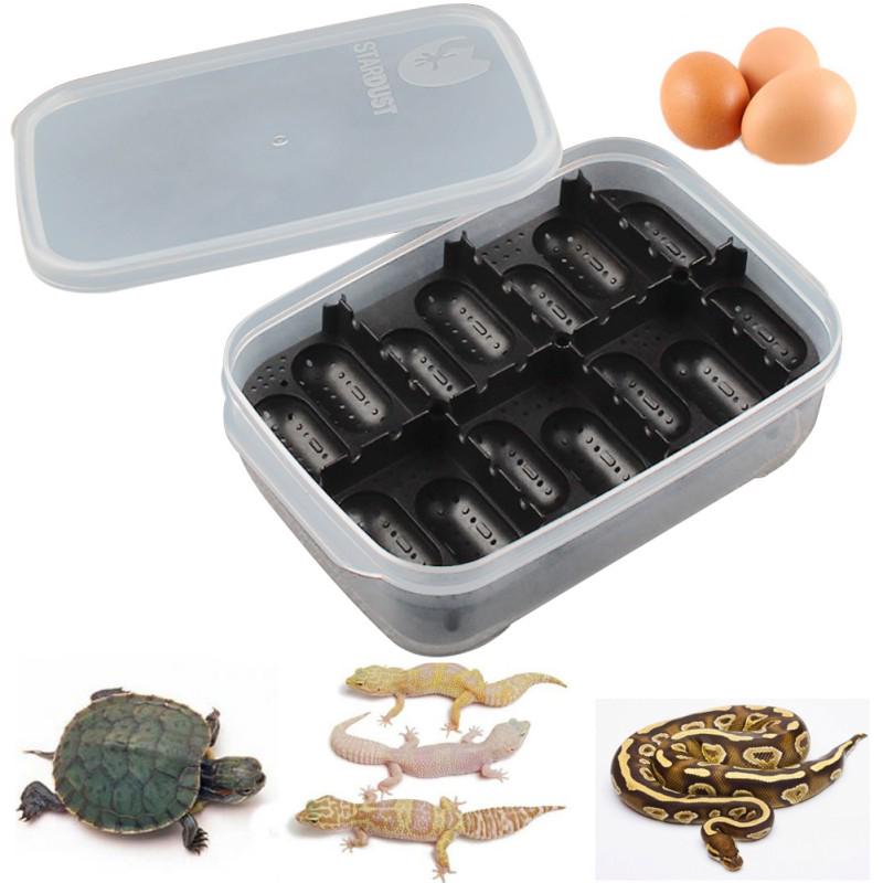lizard egg incubator