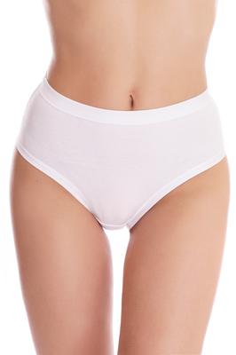 Slip Panties (74924)