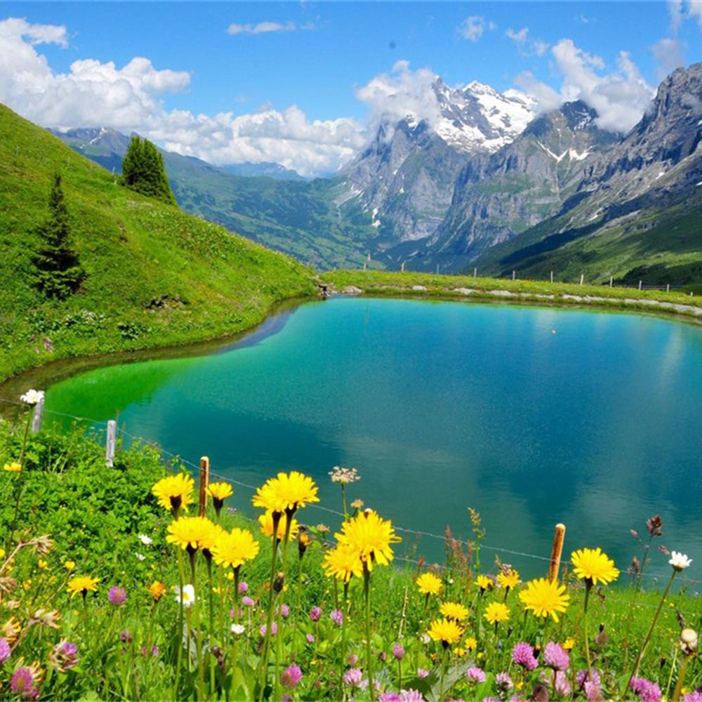 MomoArt Diamond Painting Blumen Vollrunde Bohrer Diamantmosaik Berg 5D DIY Kunst Perlenstickerei Landschaft Heimdekoration