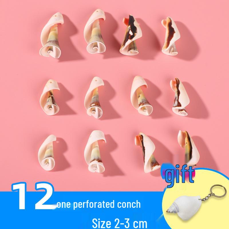 Handmade Decorative Seashells & Starfish for Fish Tanks: Landscaping, Painting, Specimens, Whelks, Hermit Crabs