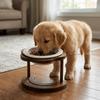 Anti Slip Elevated Cat Water Bowl High Foot Cat Feeding Station Ceramic Cat Bowl  Wet Dry Food