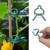 20pcs Adjustable Plant Clips - Reusable Garden Support For Flowers, Vines, Vegetables & Tomatoes - Plastic, Gardening Tools