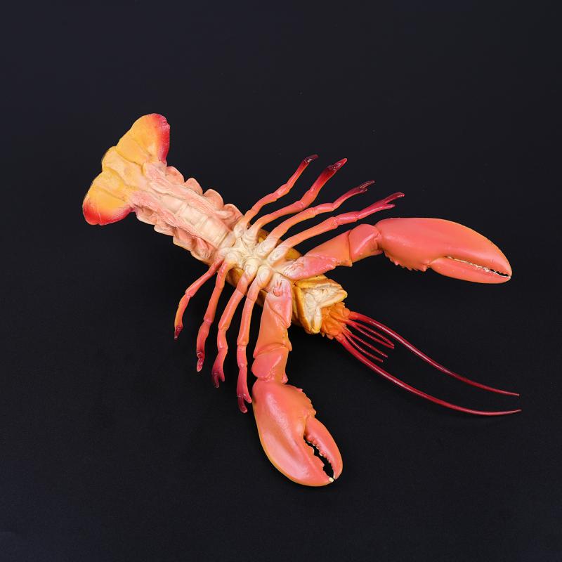 Grande Taille Animaux Marins Simulation Animaux Marins Figurines d'Action Bernard-l'ermite Poisson-lune Poulpe Homard Modèle Figurines Océaniques