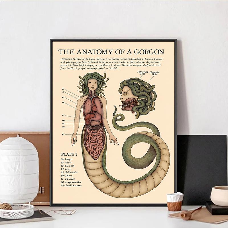 Vintage The Anatomy Of Mermaid Harpy Gorgon Poster Print Mysterious Creature Canvas Painting Wall Art Room Home Decor Cuadros