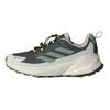 adidas Terrex Trailmaker 2 Gore Tex National Geographic Carbon Silver Green Orbit Grey Sneakers JP7064