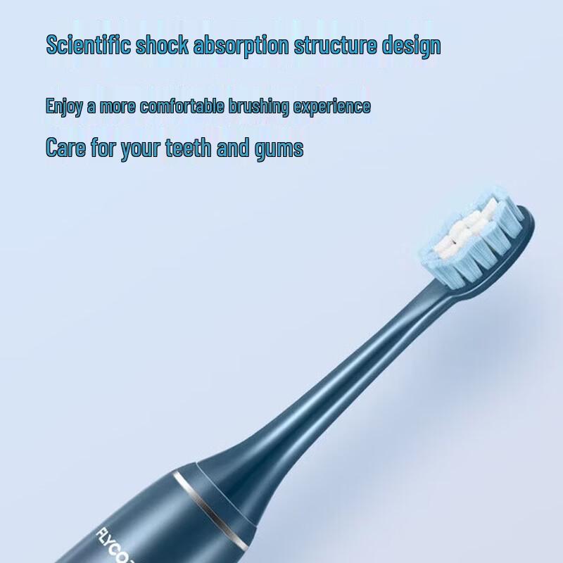 Flyco Sonic Electric Toothbrush for Adults CN plug (adapter included)