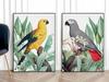 Set of Two Posters with Parrots