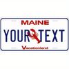 Personalized 12x6 Metal License Plate Glitter Home Wall Decor