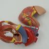 Modello Anatomico di Cuore Umano per Studio Cardiologico che Dimostra il Bypass Cardiaco