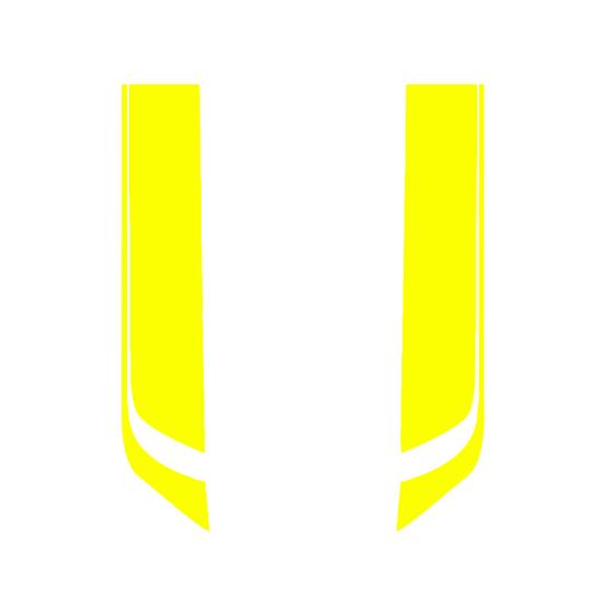 2Pcs Car Racing Sporty Stripes Hood Decals Waterproof Stickers DIY Decoration