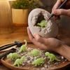 Dinosaur Egg Kit with Skeleton - 12 in the Dark or Large Dinosaur Eggs Archaeological Toy Random