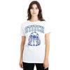 Womens/Ladies Collegiate Brush Stroke T-Shirt