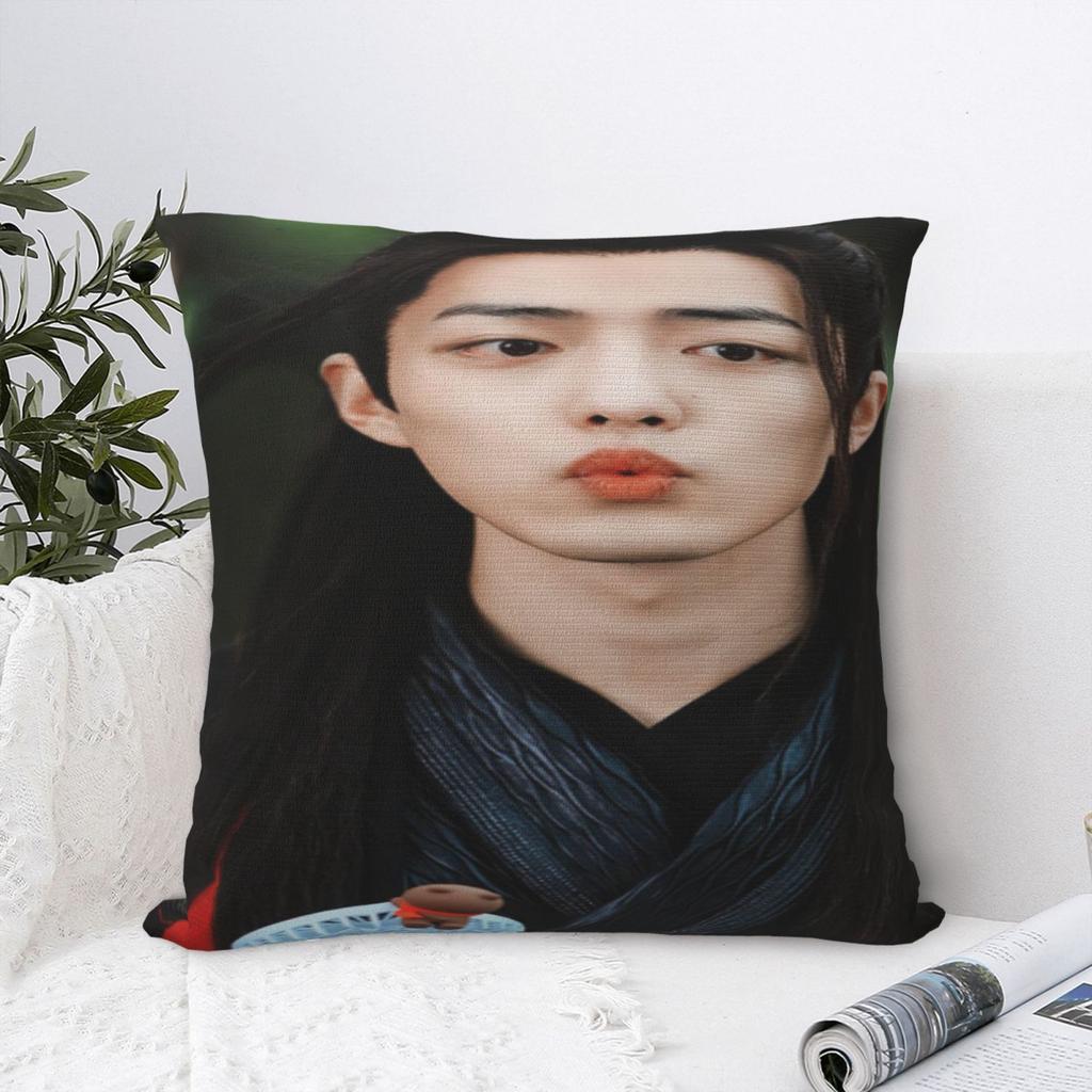 Xiao Zhan 6 Pillow Case Modern Body Pillow Pillow Covers Decorative