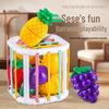 Toddler Fruit Cutting & Shape Color Recognition Educational Toy