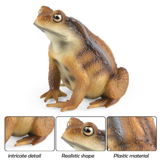 Figurka rosničky Realistická Socha ropuchy Socha Ornament Dekorace Děti Vzdělávací simulace Model divokého zvířete Hračka Batolata Chlapci Dívky Dárek