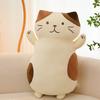 Plush Toys, Cute And Perfect Birthday Gifts For Friends And Classmates, Graduation Gifts