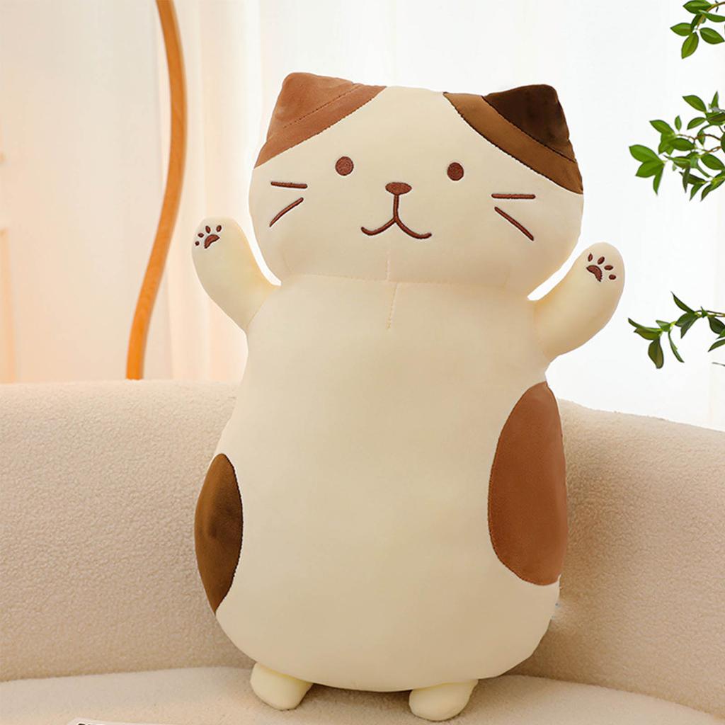 Plush Toys, Cute And Perfect Birthday Gifts For Friends And Classmates, Graduation Gifts