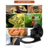 Reptile Terrariums Wall Mount Feeder Multiple Bowl Feeding Dish with Suction Cup for Small Pet Easy Mounting