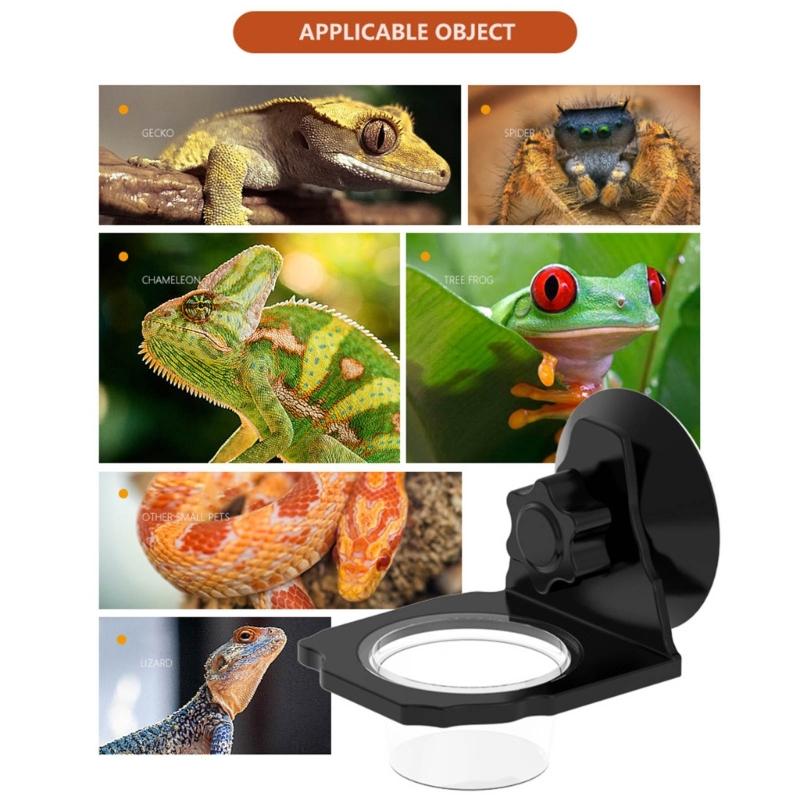 Reptile Terrariums Wall Mount Feeder Multiple Bowl Feeding Dish with Suction Cup for Small Pet Easy Mounting