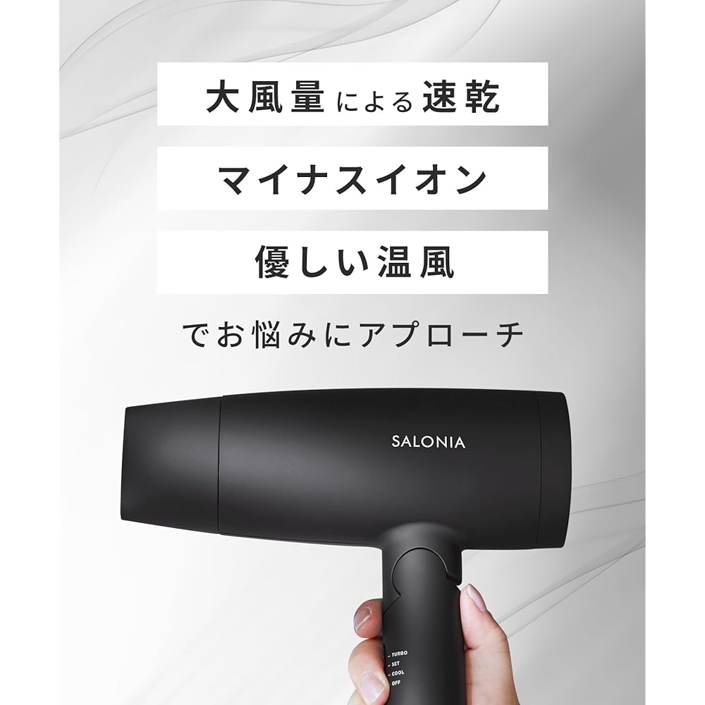 Salonia Speedy Ion Hair Dryer High Airflow Fast Drying Lightweight Negative Ion SL-013AGR Gray