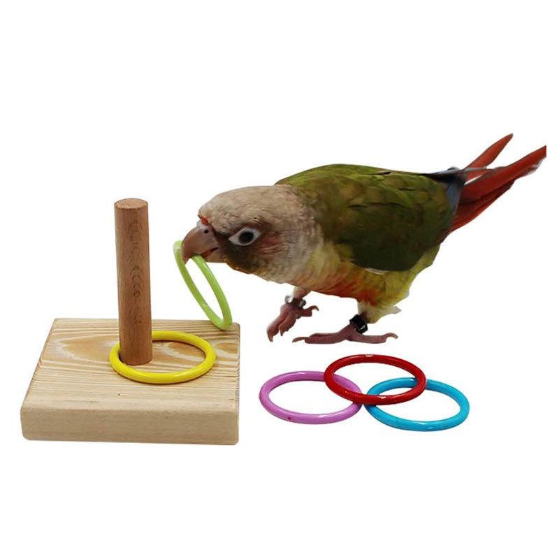 §Bird Training Ring Toy Parrot Educational Toys Training Interactive Bird Supplies Bird Toys Random Color