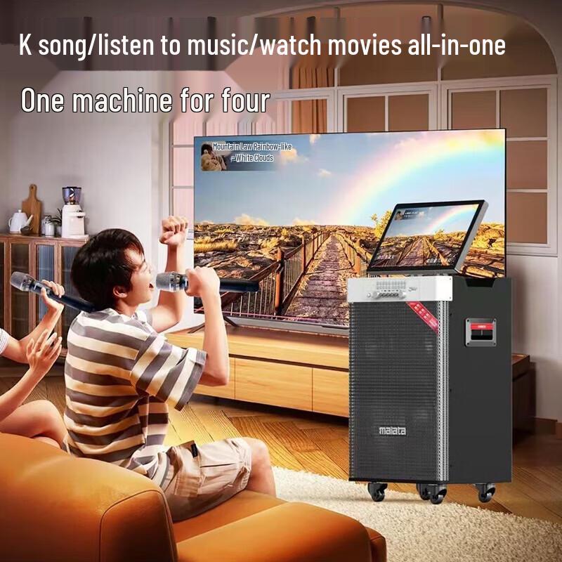 Malata M+9528 High Power Outdoor Portable Karaoke Machine with Screen CN plug (adapter included)
