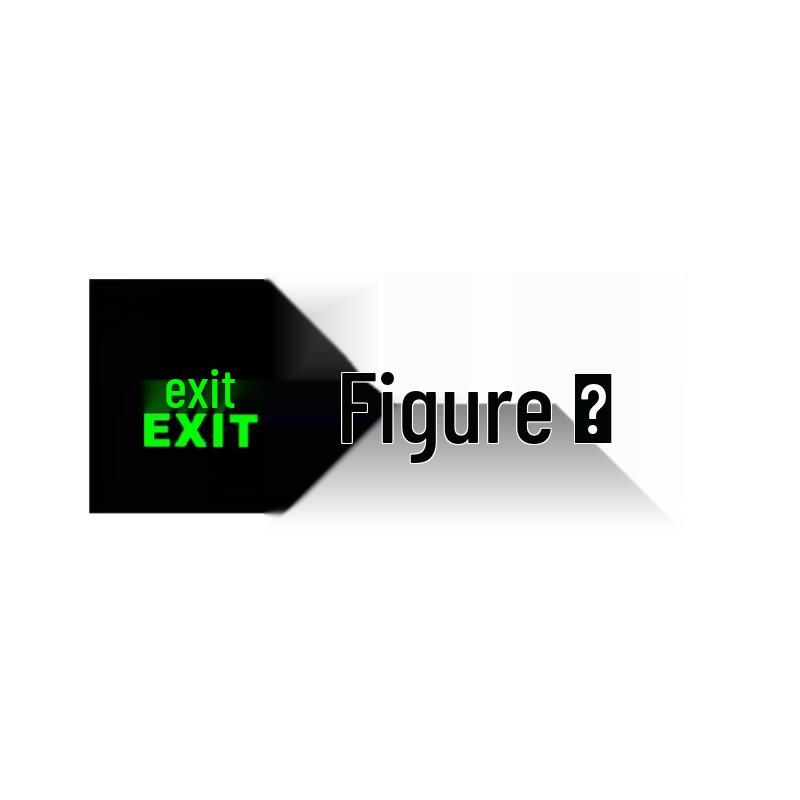 Gongyan Acrylic Emergency Exit Sign Light
