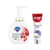 Safeguard Foaming Hand Soap & Zhonghua Toothpaste Bundle