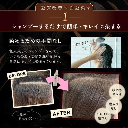 Kyogoku Color Shampoo Ash Black Color Shampoo Popular Gray Hair Black Salon Shampoo Kyogoku Ash Black Bleached Hair Damage Repair Salon Exclusive Prod