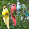 Imitation Bird Hand-crafted Realistic Appearance Unfading 3D Embedded Eyes Feathers Garden Decoration Vivid Fake Foam Animal