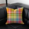 Global Symbolic EEarth Hour Patterns Cushion Cover Pillow Case Antidustmite Invisible zipper silky plush cushion