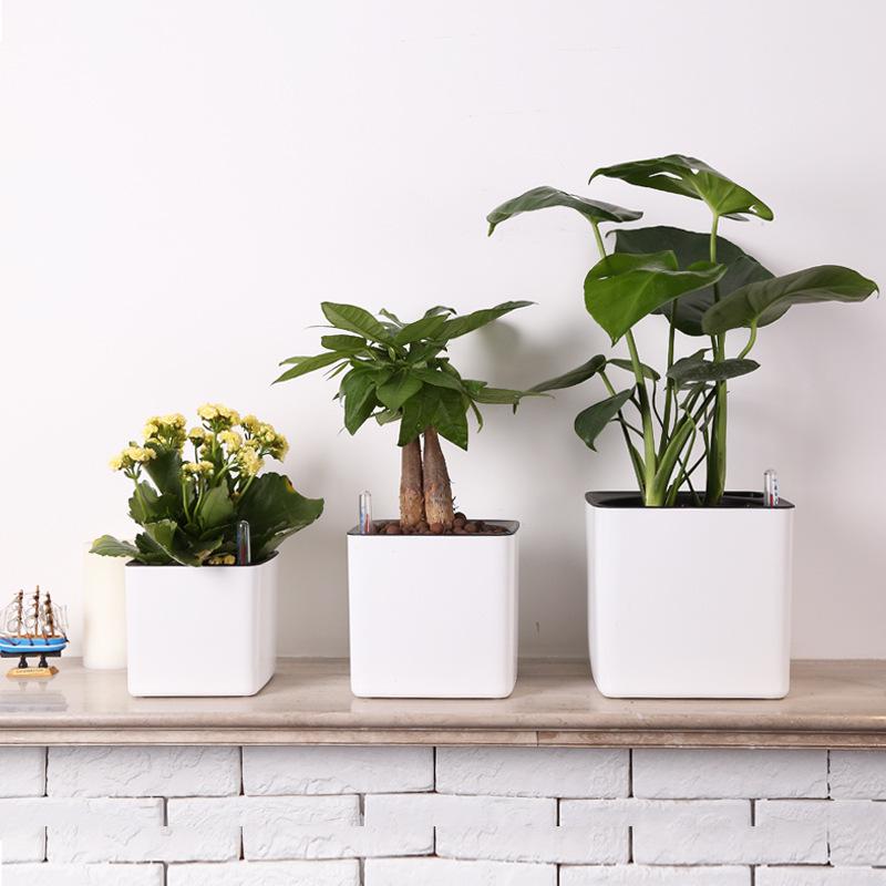 Square Plastic Desktop Flower Pot for Home and Office Gardening