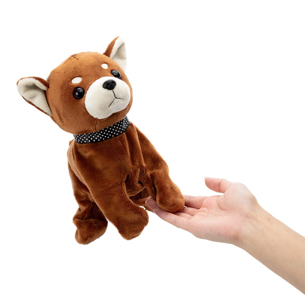 SEGA TOYS Coco Sakadachi Premium Chihuahua