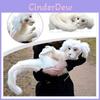 Falkor From The Neverending Story Plush Lucky Dragon Toy Pp Cotton Filling Home Decor Kids Gift