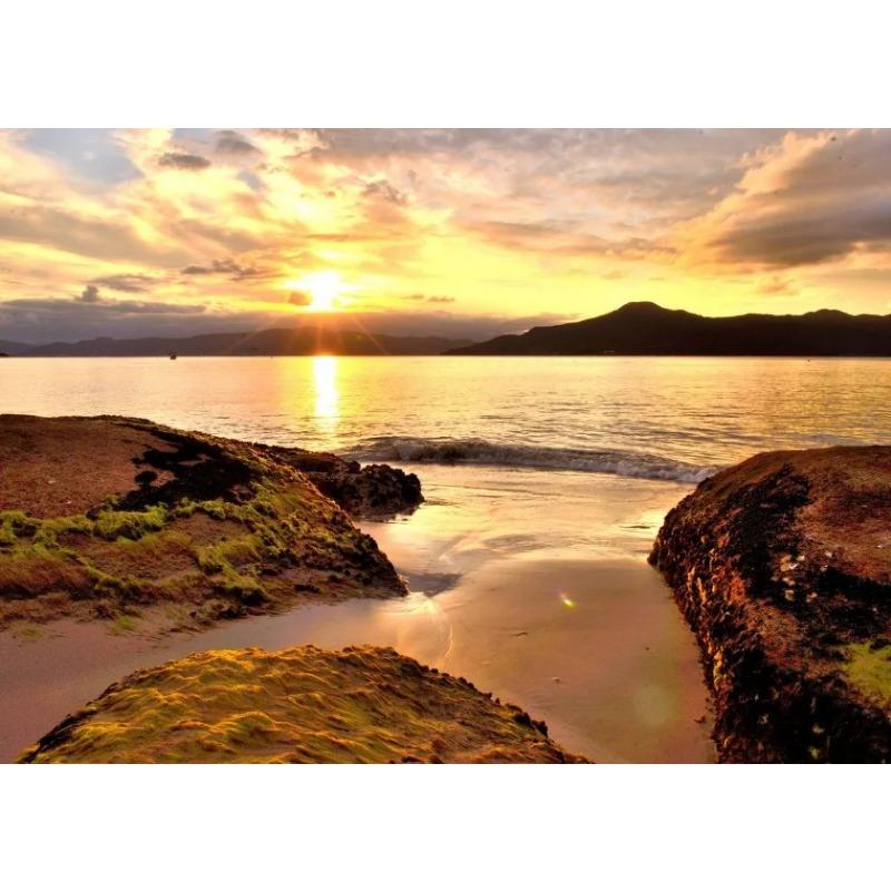 

Постеры Закат Гавайский Пляж Золотой Морской Пейзаж Холст Картины Тропическая Пальма Настенное Искусство Картинки Гостиная Домашний Декор 21cm×30cm NoFrame