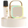 Edifier Portable KTV Karaoke Speaker Q1C (CN Version)