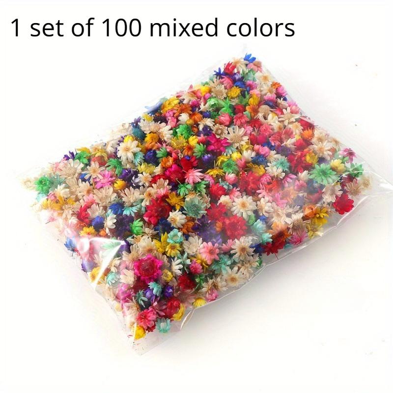 

Натуральная Изысканная Звезда Головка Цветка Творческий Элегантный DIY Венок Домашний Кристалл Капля Клей Наполнение Свадебные Украшения Сухие Цветы Ювелирные Аксессуары 1 set of 100 mixed colors