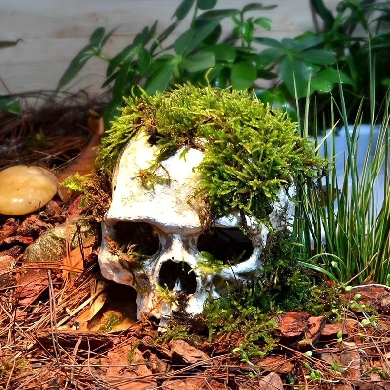 Amphibian Themed Aquarium Decorative Skull, ABS Resin, Reptile House Cave Decoration for Terrariums and Vivariums
