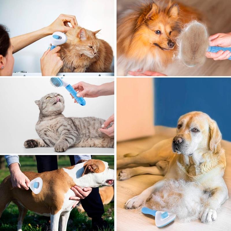 Dog Cat Hair Brush Self-Cleaning Comb
