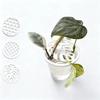 3Pcs Plant Seed Germination Cover Round Propagation Tray Set
