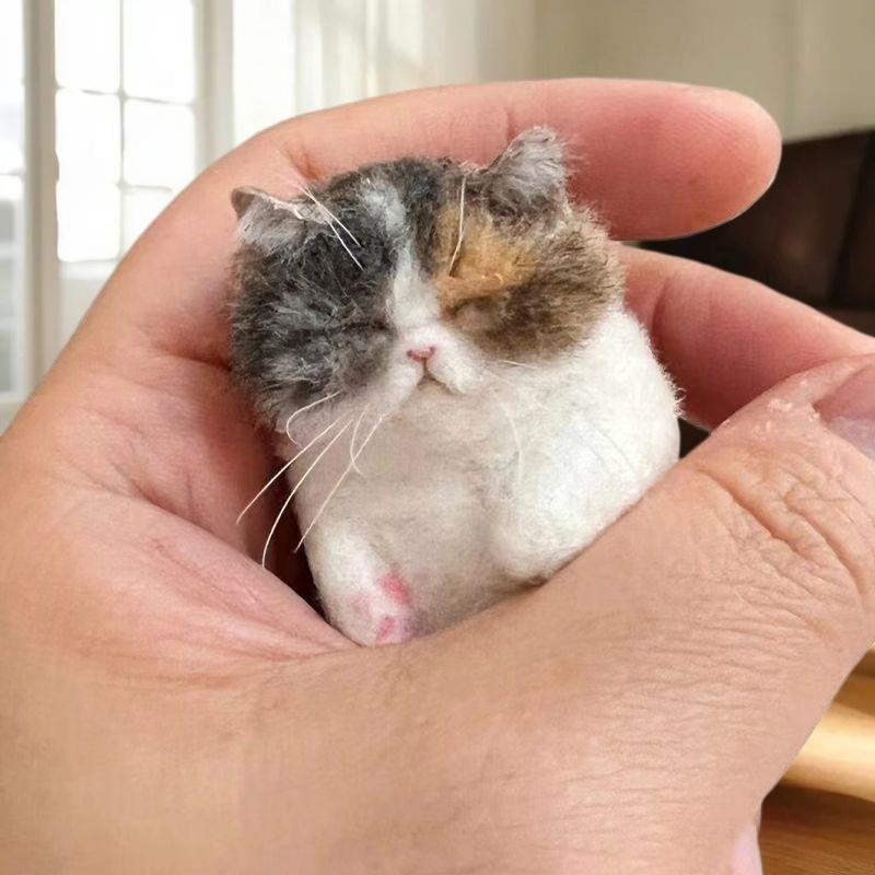 DIY Vlněná Ovečka Handpoke Kočka Sada, Materiálový Sáček pro Začátečníky Plstění Jehlou, Ručně Vyráběné Zvířecí Dárky