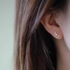 Exquisite Arc Shell Pearl Zircon 925 Sterling Silver Plated 14K Gold Earrings for Women Gentle Small Elegant Jewelry Accessories