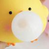 Bubble Animal Squeeze Toy Stress Relief Bubble Popping Chick Pig Toy Anti-Anxiety Stress Ball Portable Students Office Worker Desk Toy