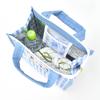 Insulated Lunch Tote Snoopy and Olaf Bag, Check, SPER-008