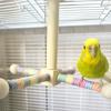 Funny Perches Toy with Rotating Ball Wooden Parrots Ferris Wheel Toy with Perches Windmills Toy For Parakeets Cockatoos